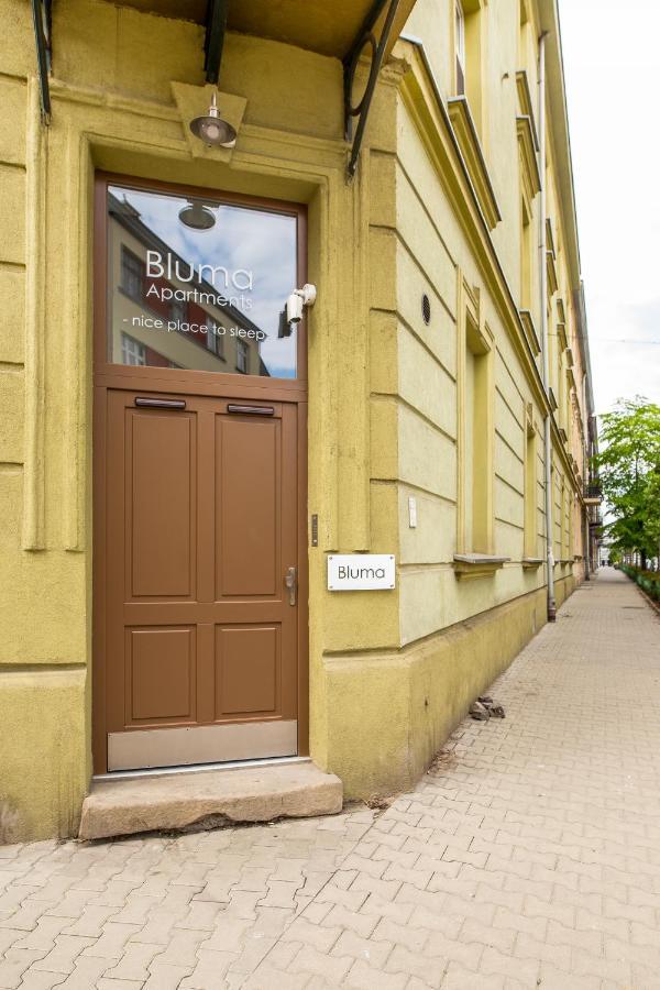 Apartamenty Bluma Cracovia Exterior foto